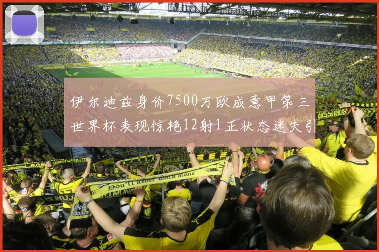 伊尔迪兹身价7500万欧成意甲第三世界杯表现惊艳12射1正状态迷失引发关注
